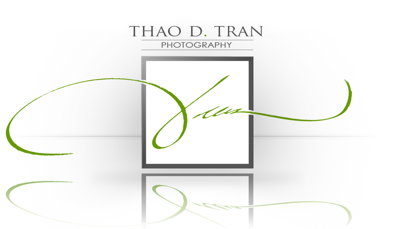 upload logo file